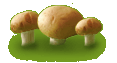 mushroom